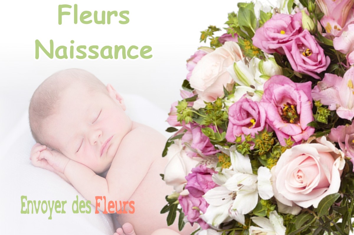 lIVRAISON FLEURS NAISSANCE à AUVILLIERS-EN-GATINAIS